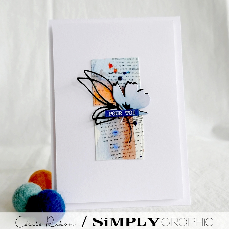 Carte SG04 - P1250457