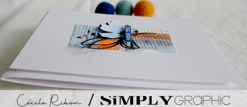 Carte SG04 ' P1250462