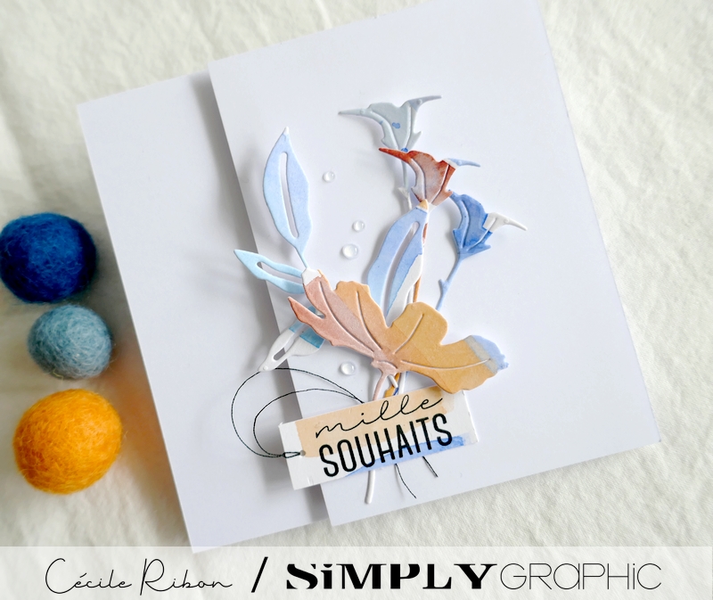 Carte SG04 - P1250488