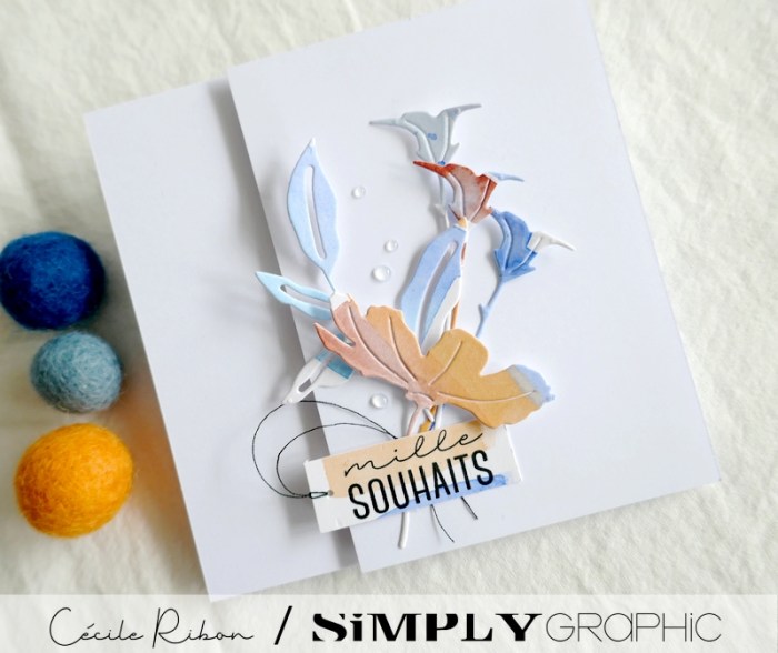 Carte SG04 - P1250488