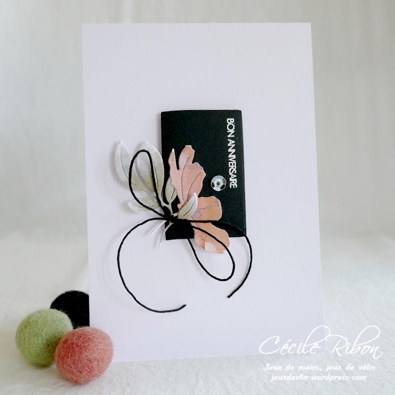 Carte AnnivF06 - P1250589