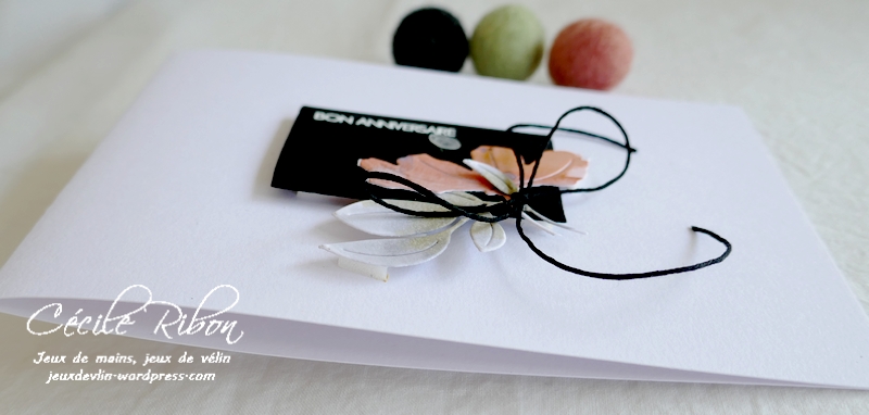 Carte AnnivF06 - P1250593