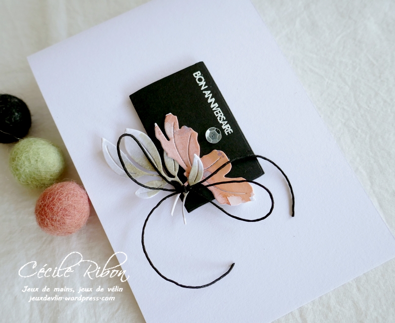 Carte AnnivF06 - P1250614