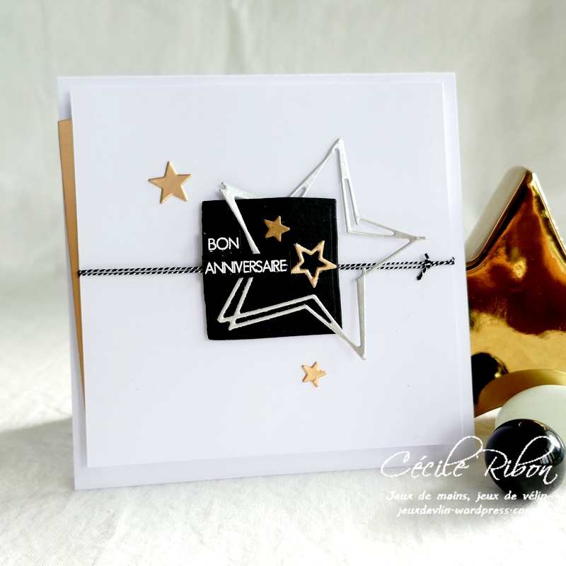 Carte AnnivH04 - P1260481