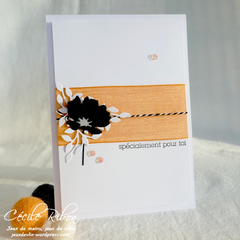 Carte CBBB58 - P1260610