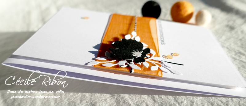 Carte CBBB58 - P1260616