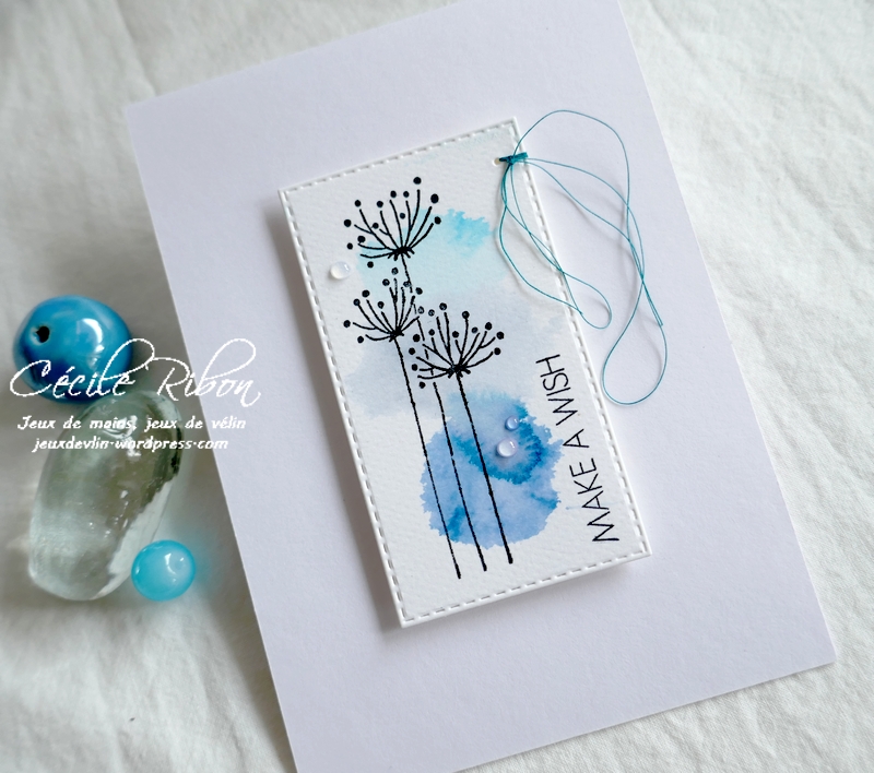 Carte CTD658 - P1260204