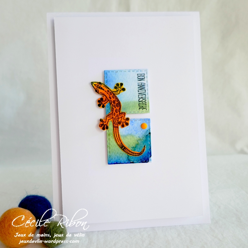 Carte CTD660 - P1260327