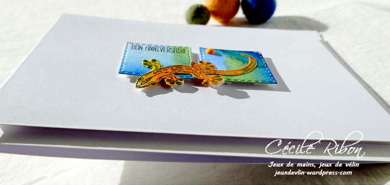 Carte CTD660 - P1260344