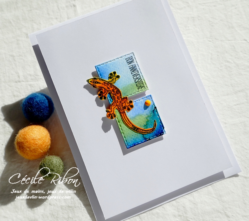 Carte CTD660 - P1260346