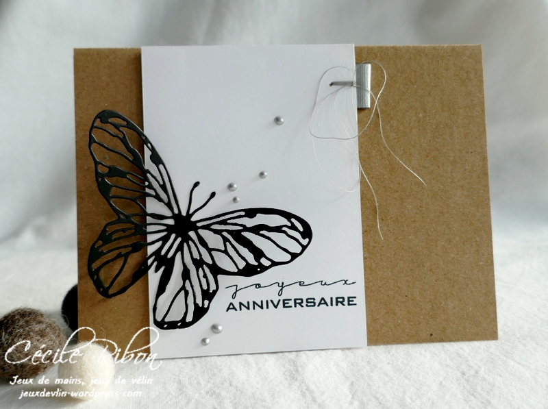 Carte CTD661 - P1260650