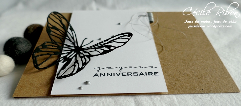 Carte CTD661 - P1260655