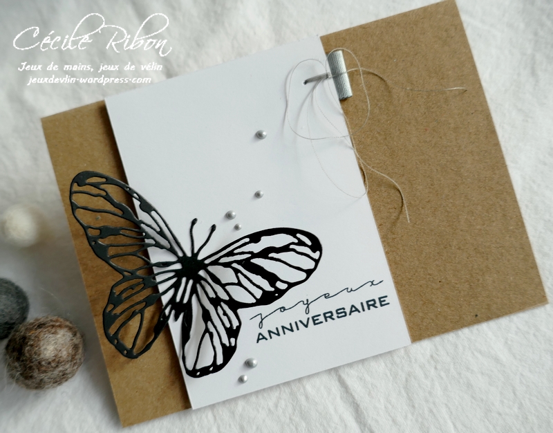 Carte CTD661 - P1260659