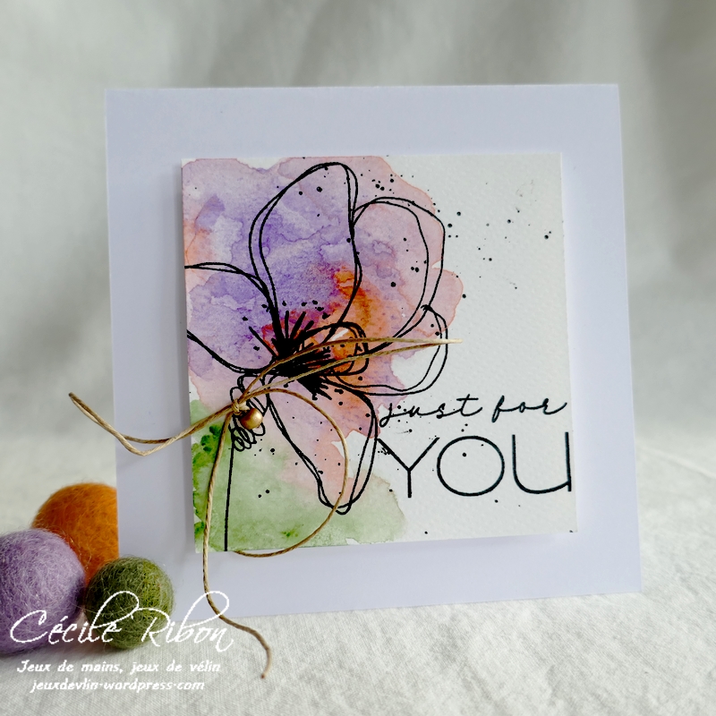 Carte CTD662 - P1260668