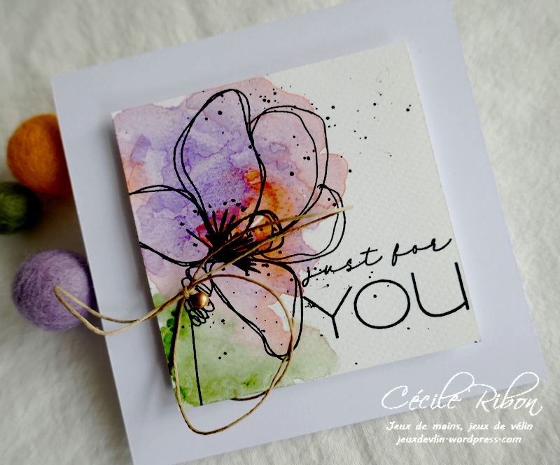 Carte CTD662 - P1260688