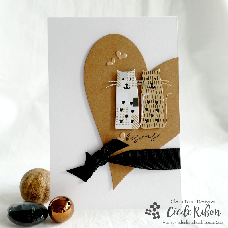 Carte FMS502 - P1260218