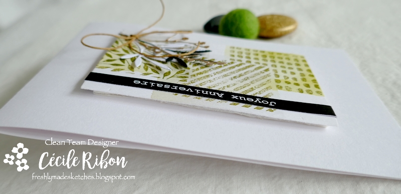 Carte FMS503 - P1260316