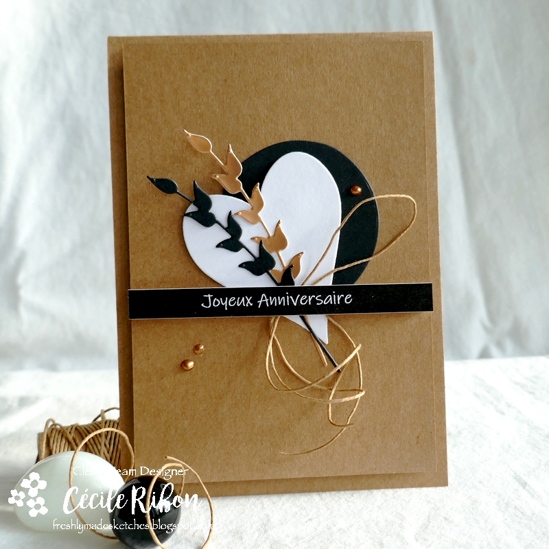 Carte FMS505 - P1260699