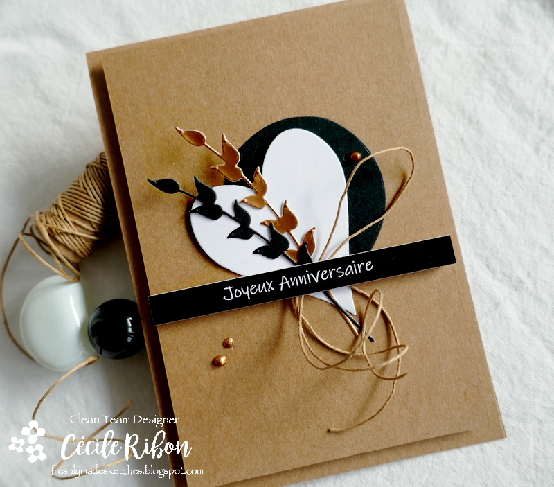 Carte FMS505 - P1260710