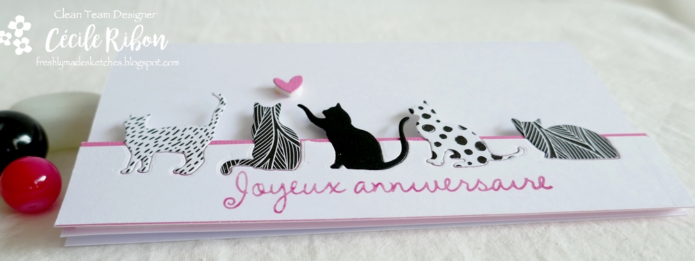 Carte FMS604 - P1260468