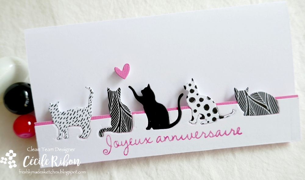 Carte FMS604 - P1260475