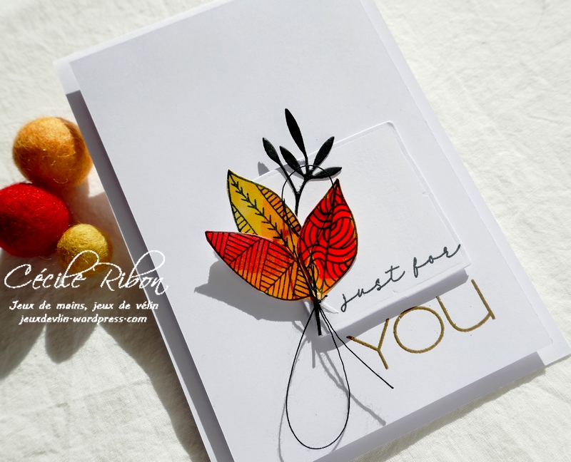 Carte JUGS602 - P1260374