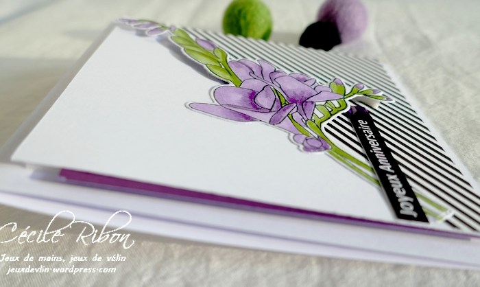 JUST US Girls #603- Photo Week.