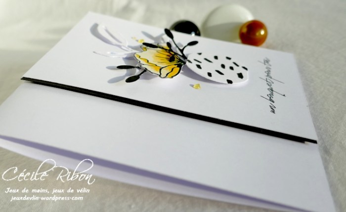 Avec des restes … #27