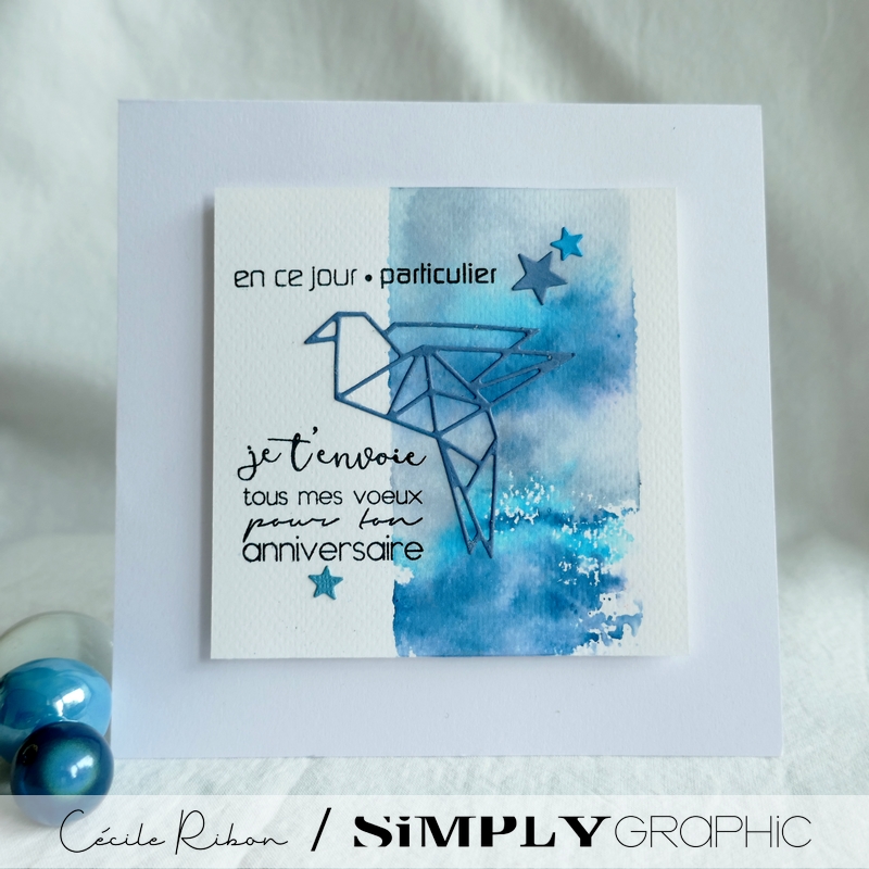 Carte SG05 - P1260133