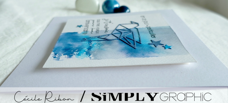 Carte SG05 - P1260142