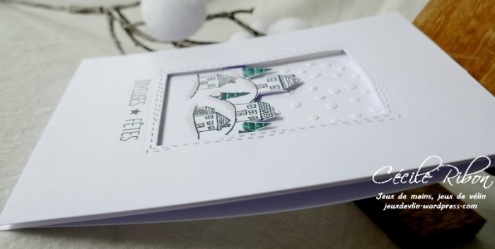 Carte CASology396 - P1270303