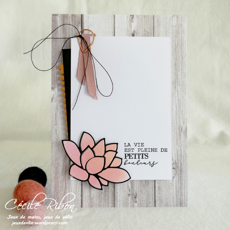 Carte CBBB60 - P1270468