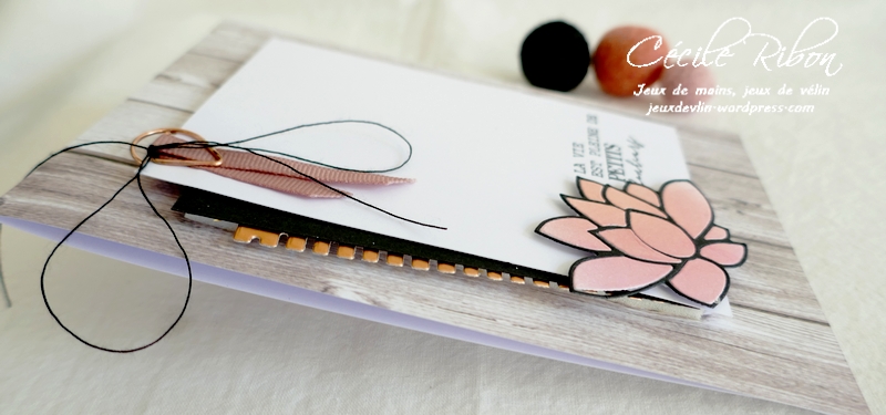 Carte CBBB60 - P1270474