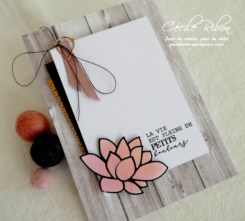 Carte CBBB60 - P1270485