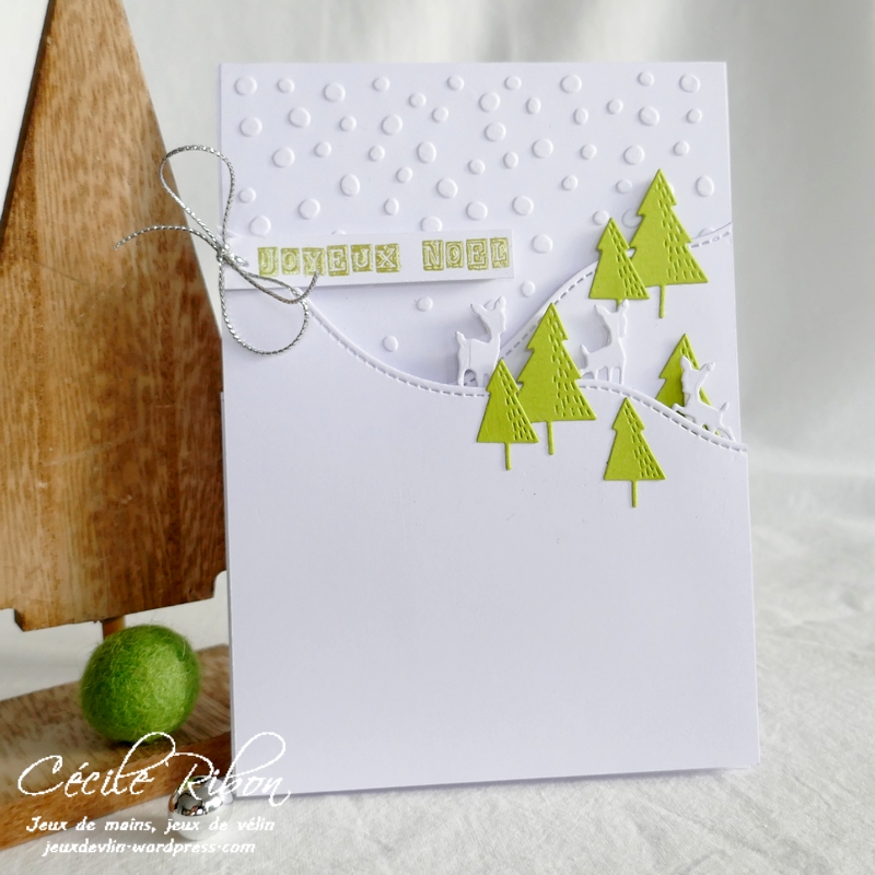 Carte CC&S441 - P1270243