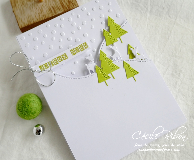 Carte CC&S441 - P1270260