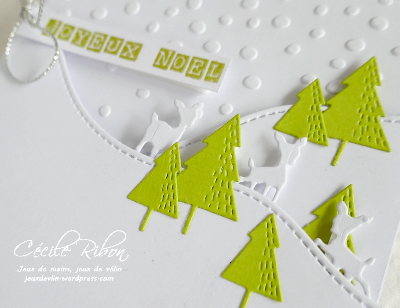 Carte CC&S441 - P1270268