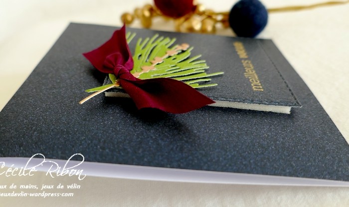 CAS Colours & Sketches #442 – Colours (2)