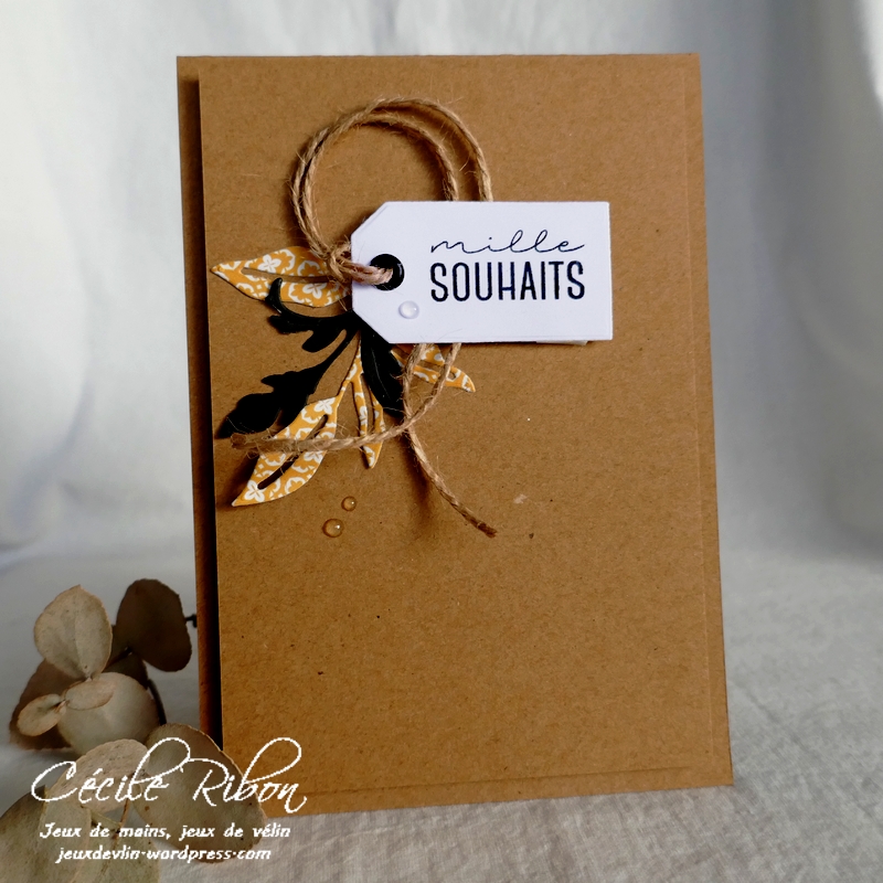 Carte CC&S443 - P1270733