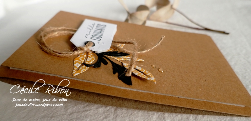 Carte CC&S443 - P1270735