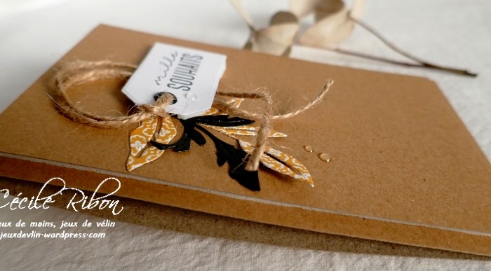 CAS Colours & Sketches #443 – Sketch