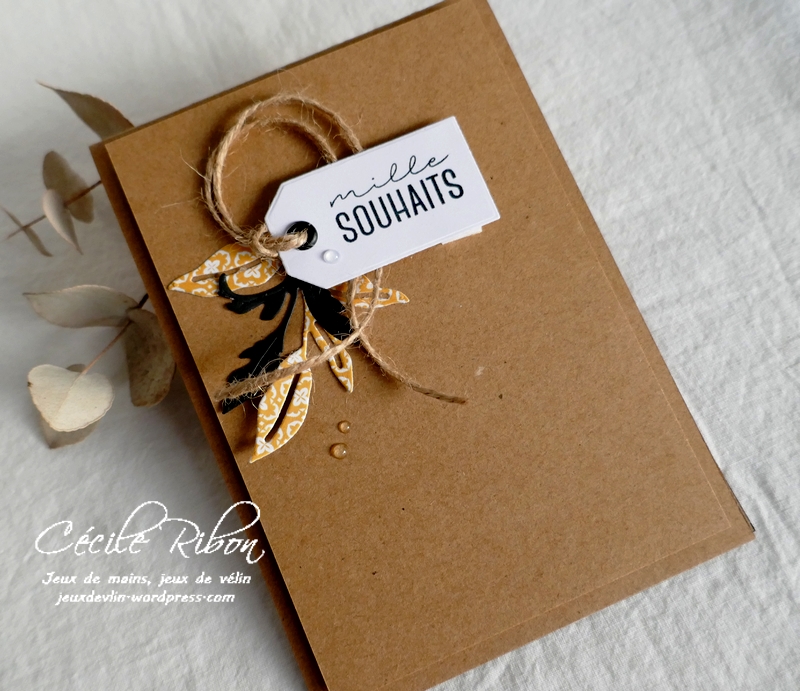 Carte CC&S443 - P1270742