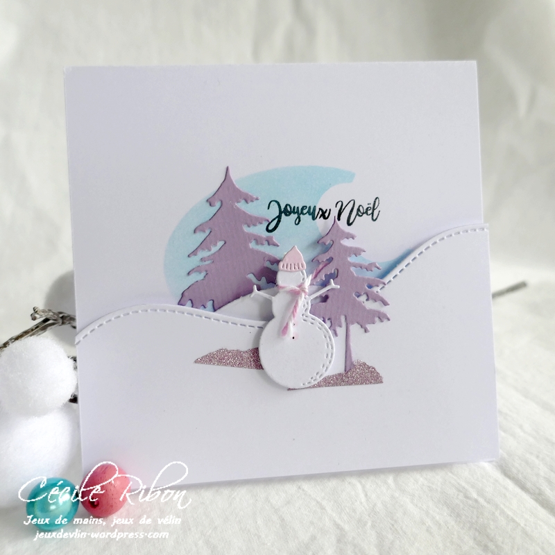 Carte CTD665 - P1270388