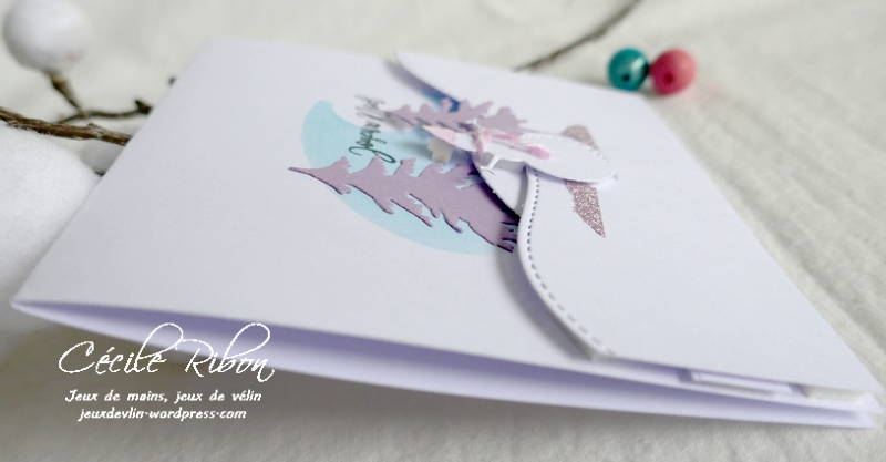 Carte CTD665 - P1270394