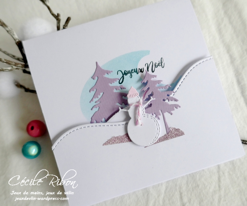 Carte CTD665 - P1270403