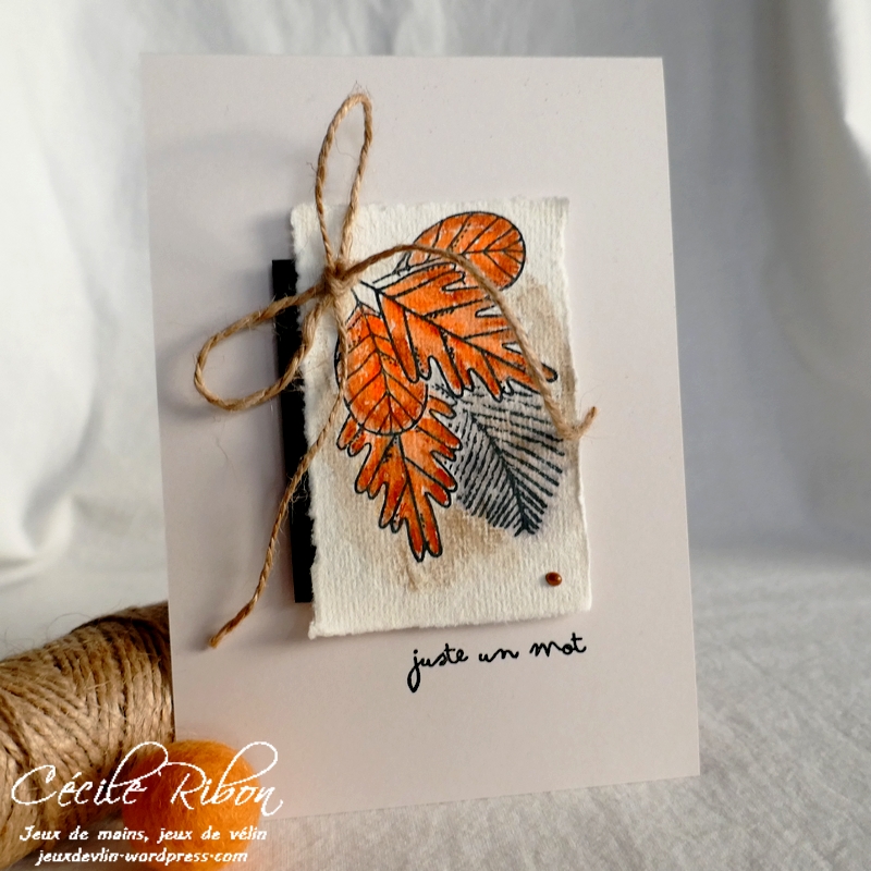 Carte CTD666 - P1270778