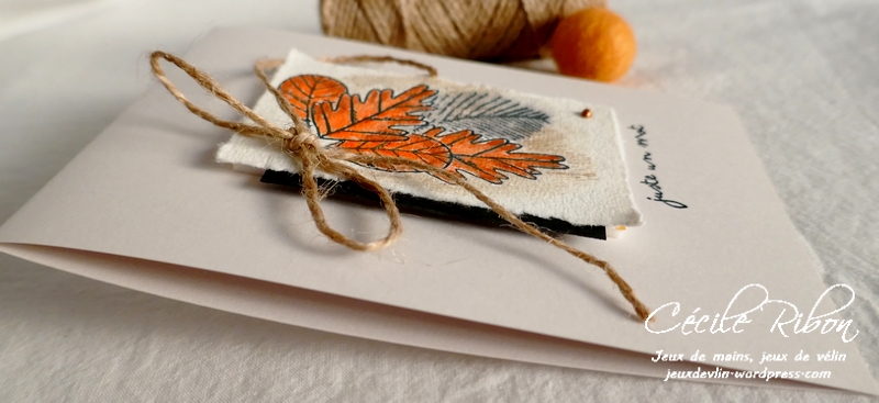 Carte CTD666 - P1270780