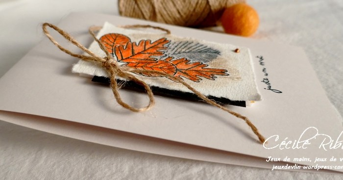 Color Throwdown #666