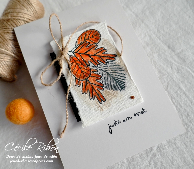 Carte CTD666 - P1270789