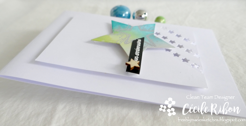 Carte FMS506 - P1260950